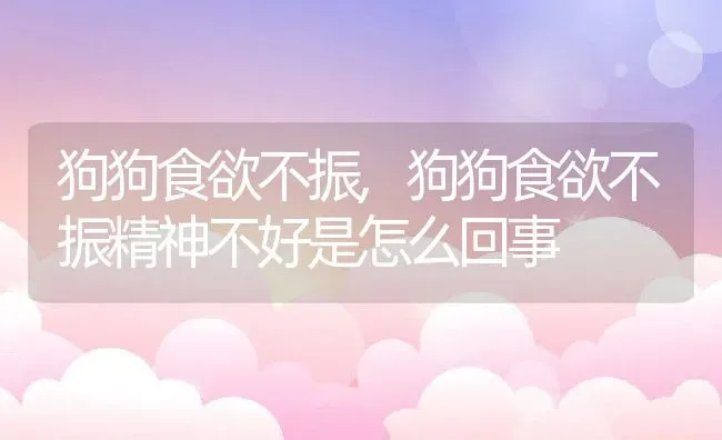 狗狗食欲不振,狗狗食欲不振精神不好是怎么回事 | 养殖科普