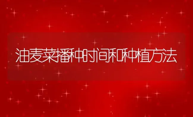 陈晓旭前夫是谁,陈晓旭丈夫郝彤哪年出生的 | 养殖学堂