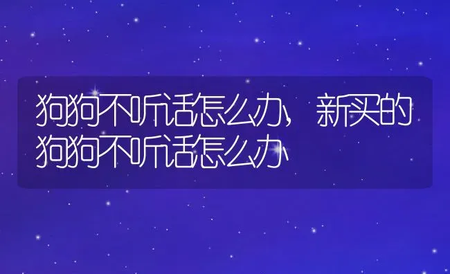 狗狗不听话怎么办,新买的狗狗不听话怎么办 | 养殖科普