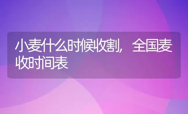 小麦什么时候收割,全国麦收时间表 | 养殖学堂