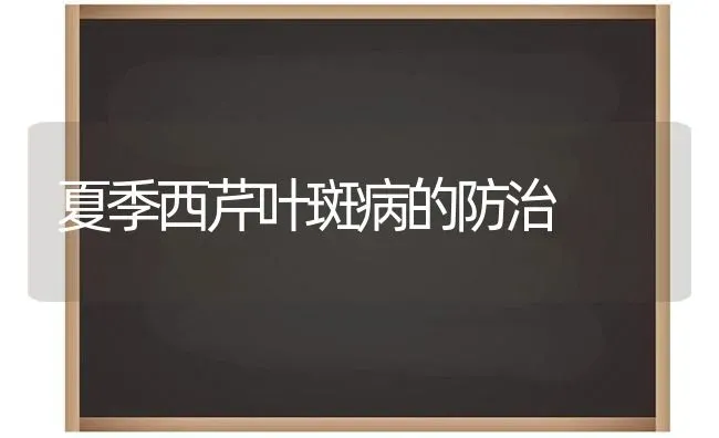 夏季西芹叶斑病的防治 | 养殖技术大全