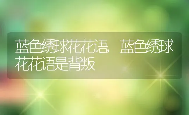 蓝色绣球花花语,蓝色绣球花花语是背叛 | 养殖资料