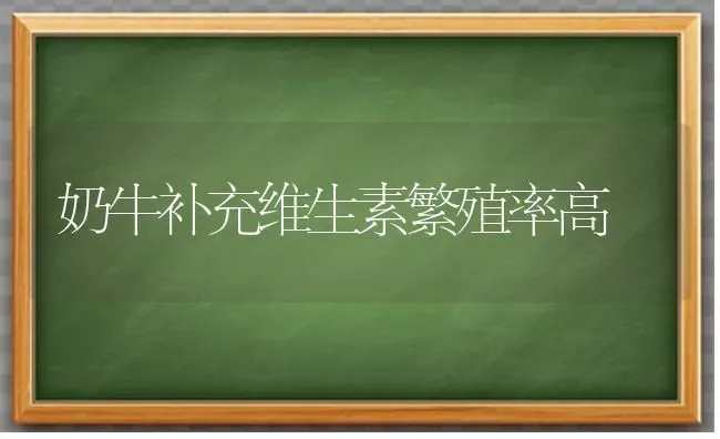 奶牛补充维生素繁殖率高 | 养殖知识