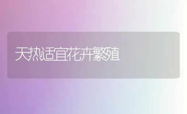 天热适宜花卉繁殖 | 养殖技术大全