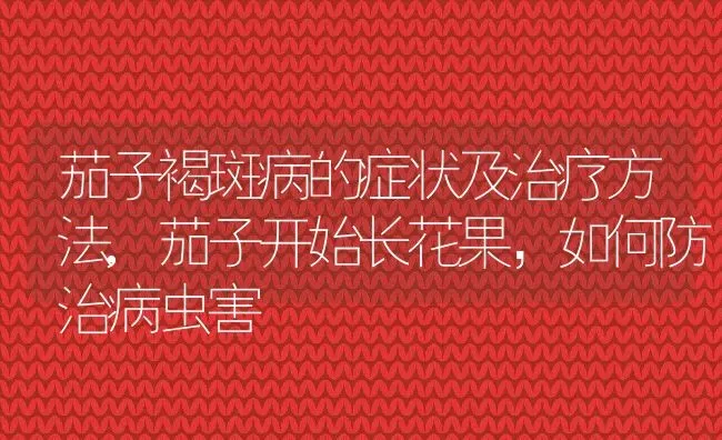 茄子褐斑病的症状及治疗方法,茄子开始长花果，如何防治病虫害 | 养殖学堂