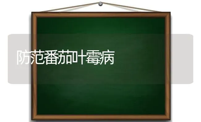 防范番茄叶霉病 | 养殖技术大全