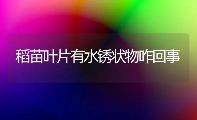 稻苗叶片有水锈状物咋回事 | 养殖技术大全