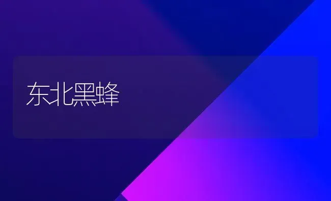 东北黑蜂 | 养殖技术大全