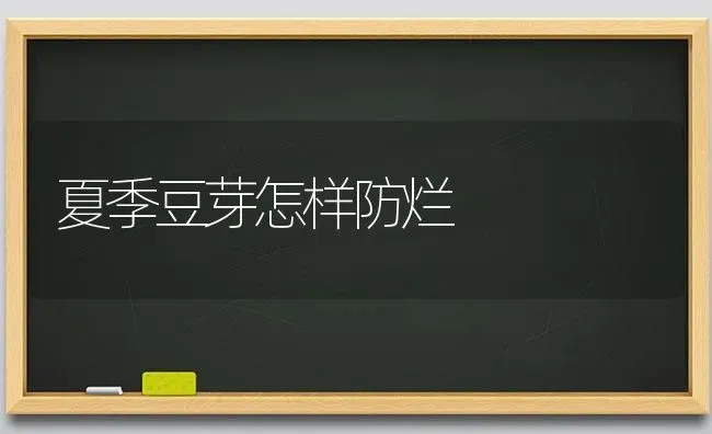 夏季豆芽怎样防烂 | 养殖技术大全