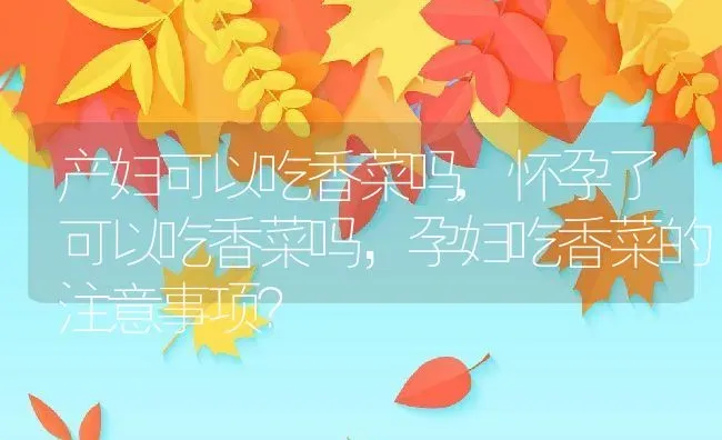 产妇可以吃香菜吗,怀孕了可以吃香菜吗，孕妇吃香菜的注意事项？ | 养殖科普