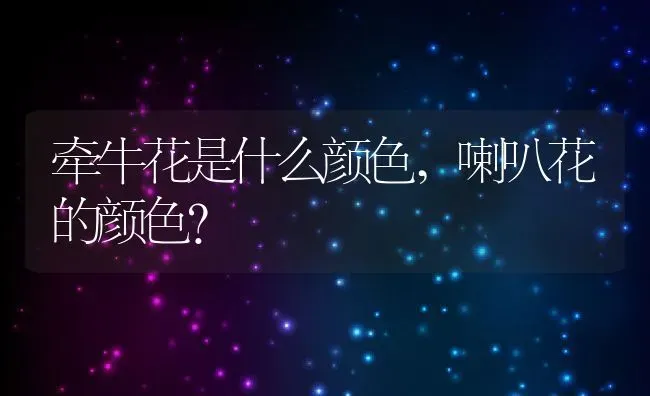 牵牛花是什么颜色,喇叭花的颜色？ | 养殖学堂