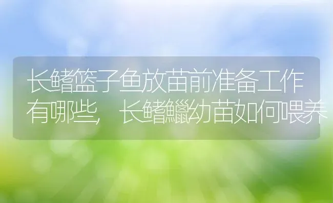 长鳍篮子鱼放苗前准备工作有哪些,长鳍鱲幼苗如何喂养 | 养殖学堂