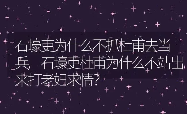 石壕吏为什么不抓杜甫去当兵,石壕吏杜甫为什么不站出来打老妇求情？ | 养殖科普