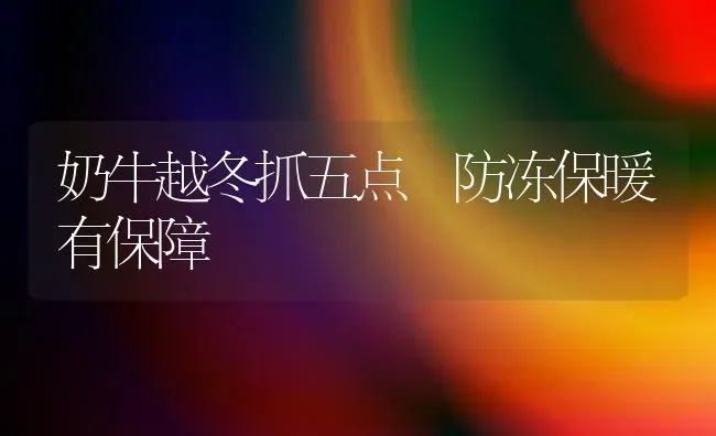 奶牛越冬抓五点 防冻保暖有保障 | 养殖技术大全