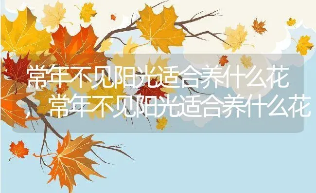 常年不见阳光适合养什么花,常年不见阳光适合养什么花 | 养殖科普