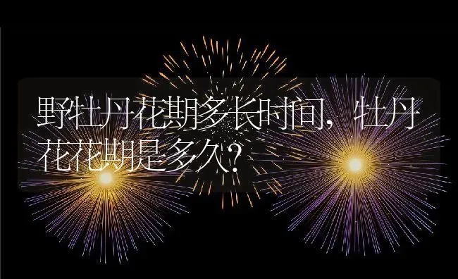 野牡丹花期多长时间,牡丹花花期是多久？ | 养殖科普