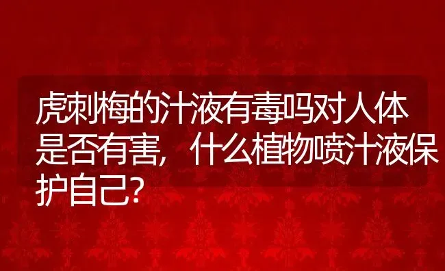 虎刺梅的汁液有毒吗对人体是否有害,什么植物喷汁液保护自己？ | 养殖科普