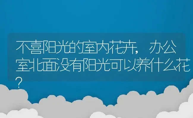 不喜阳光的室内花卉,办公室北面没有阳光可以养什么花？ | 养殖科普