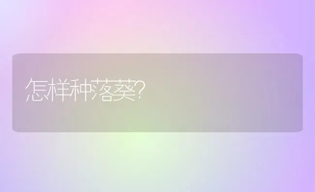 怎样种落葵? | 养殖技术大全