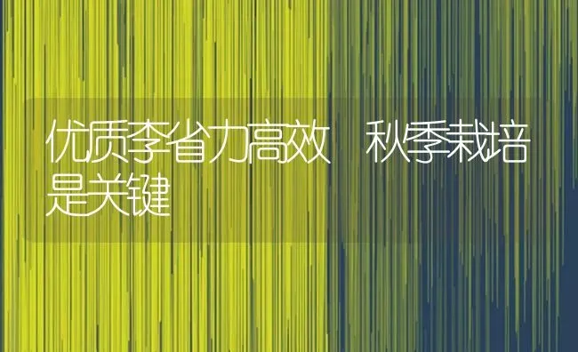 优质李省力高效 秋季栽培是关键 | 养殖技术大全