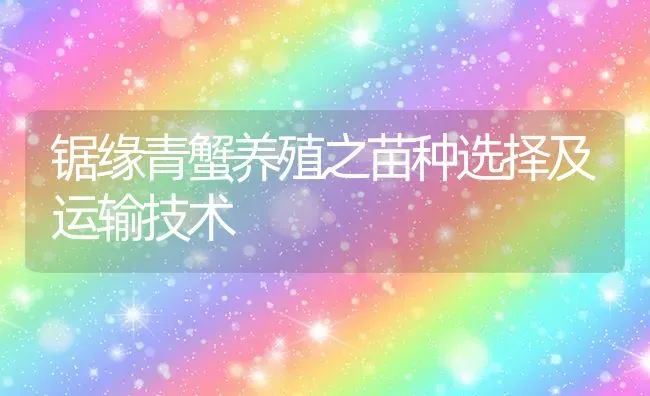 锯缘青蟹养殖之苗种选择及运输技术 | 养殖技术大全