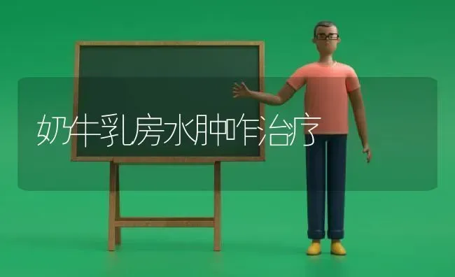 奶牛乳房水肿咋治疗 | 养殖技术大全