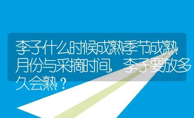 香草多肉为什么难养,香草多肉侧芽怎么处理？ | 养殖科普
