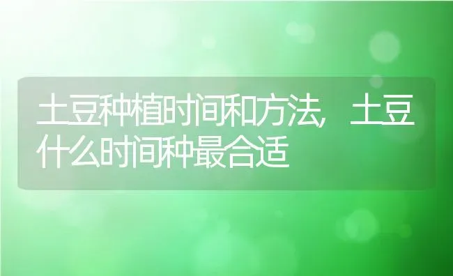 土豆种植时间和方法,土豆什么时间种最合适 | 养殖学堂