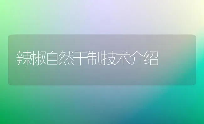 辣椒自然干制技术介绍 | 养殖知识