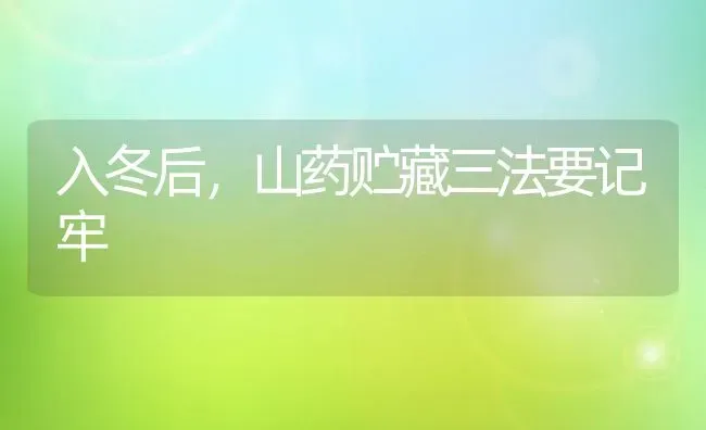 入冬后,山药贮藏三法要记牢 | 养殖技术大全