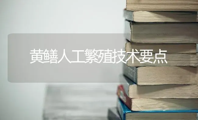 黄鳝人工繁殖技术要点 | 养殖知识