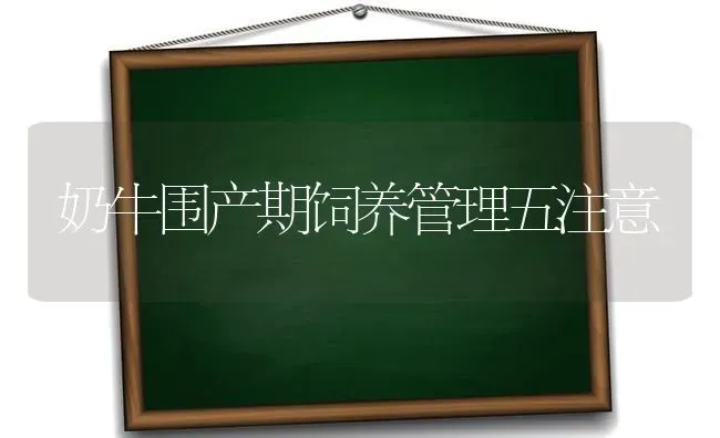 奶牛围产期饲养管理五注意 | 养殖技术大全