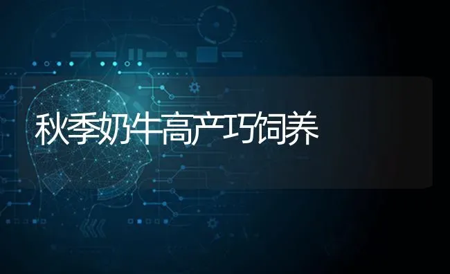 秋季奶牛高产巧饲养 | 养殖知识