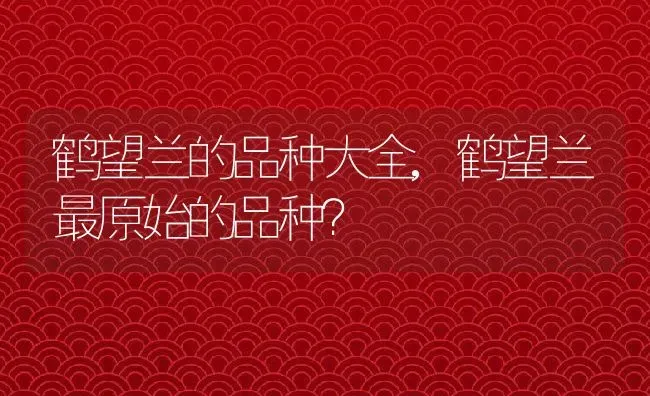 鹤望兰的品种大全,鹤望兰最原始的品种？ | 养殖科普