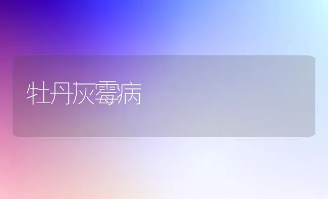 牡丹灰霉病 | 养殖技术大全