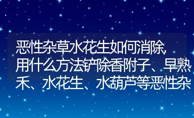 恶性杂草水花生如何消除,用什么方法铲除香附子、早熟禾、水花生、水葫芦等恶性杂草 | 养殖学堂