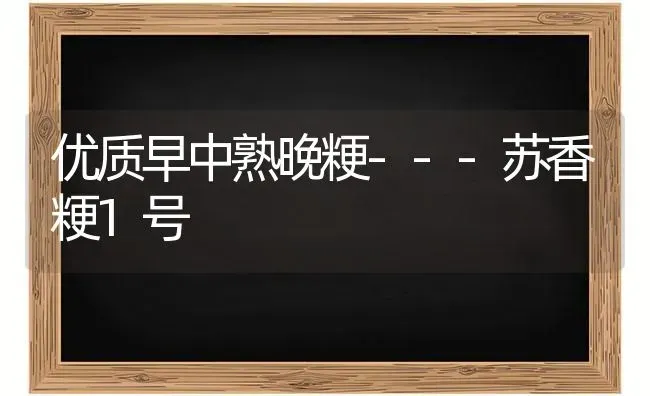 优质早中熟晚粳---苏香粳1号 | 养殖技术大全