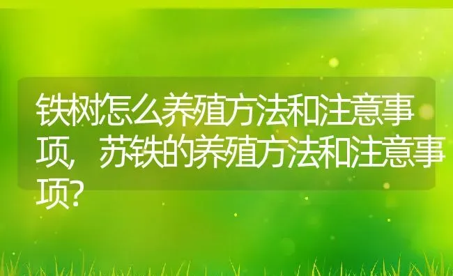 铁树怎么养殖方法和注意事项,苏铁的养殖方法和注意事项？ | 养殖科普