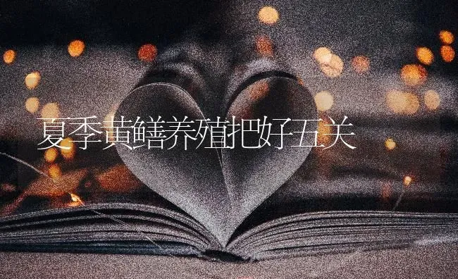 夏季黄鳝养殖把好五关 | 养殖知识