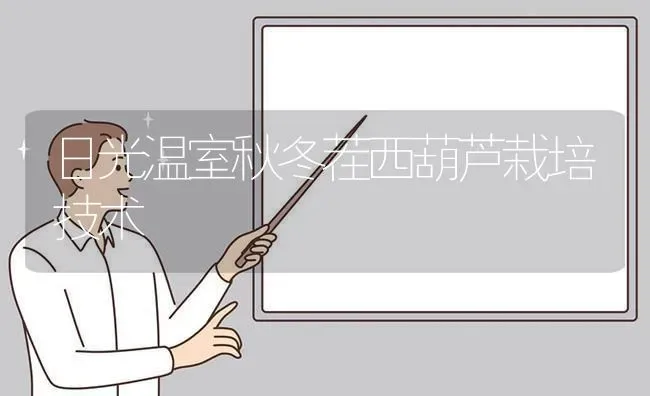 日光温室秋冬茬西葫芦栽培技术 | 养殖技术大全