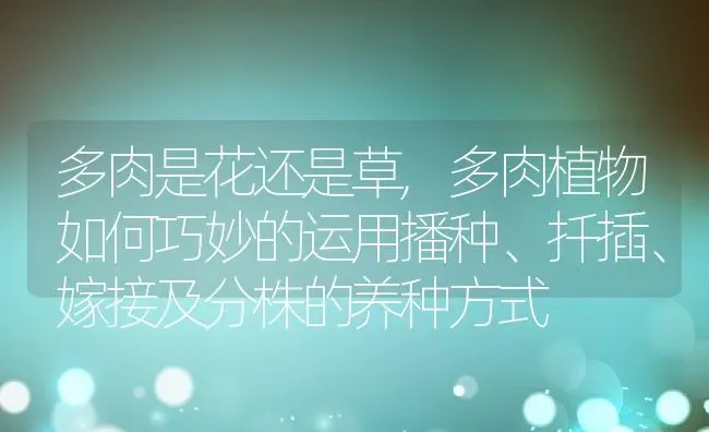 多肉是花还是草,多肉植物如何巧妙的运用播种、扦插、嫁接及分株的养种方式 | 养殖学堂