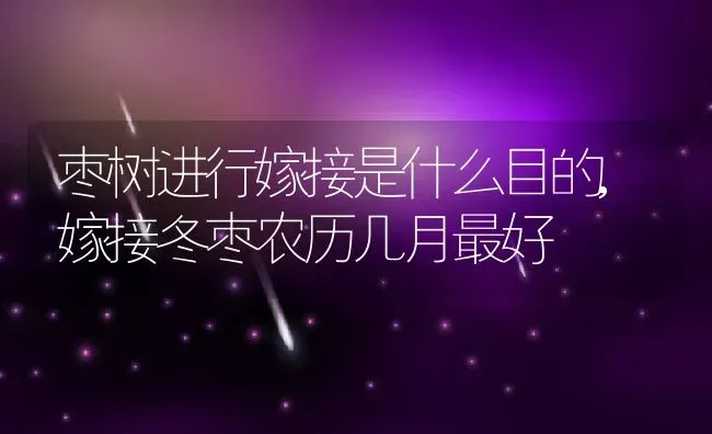 枣树进行嫁接是什么目的,嫁接冬枣农历几月最好 | 养殖学堂