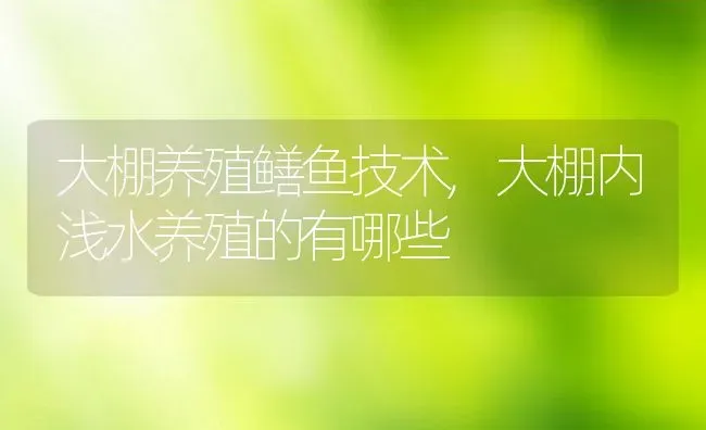 大棚养殖鳝鱼技术,大棚内浅水养殖的有哪些 | 养殖学堂