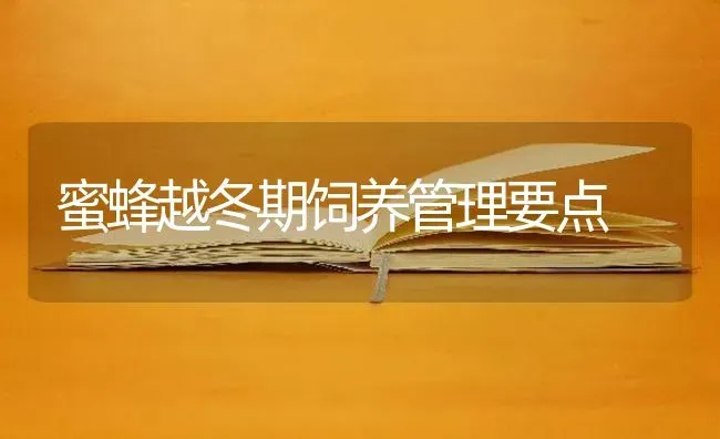蜜蜂越冬期饲养管理要点 | 养殖技术大全