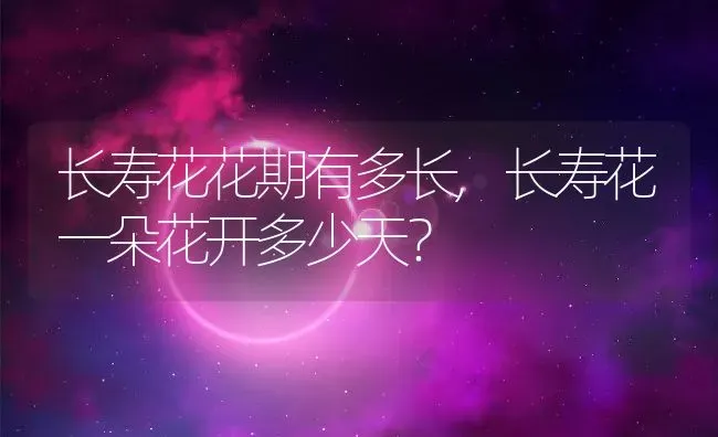 长寿花花期有多长,长寿花一朵花开多少天？ | 养殖学堂