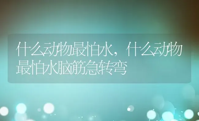 什么动物最怕水,什么动物最怕水脑筋急转弯 | 养殖科普