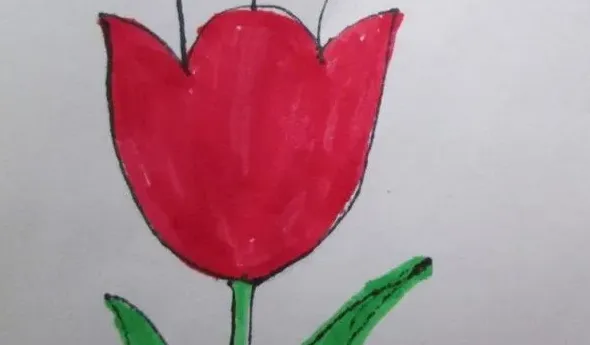 郁金香怎么画简单好看三步,儿童画花朵的几种画法？