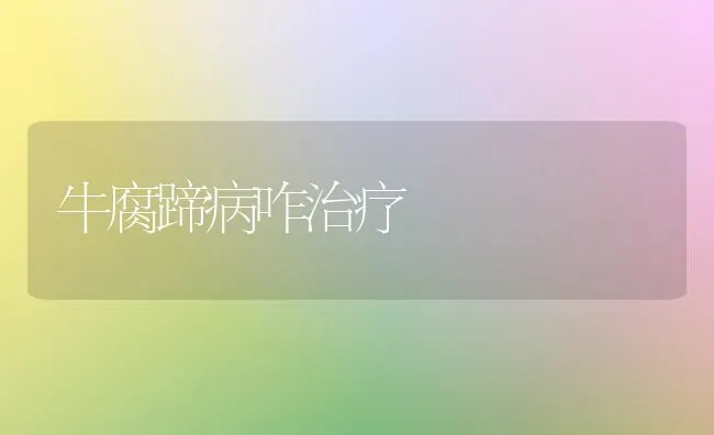 牛腐蹄病咋治疗 | 养殖技术大全