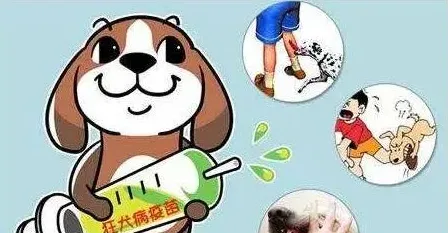 被狗抓咬伤后应尽早打狂犬疫苗 | 实用知识