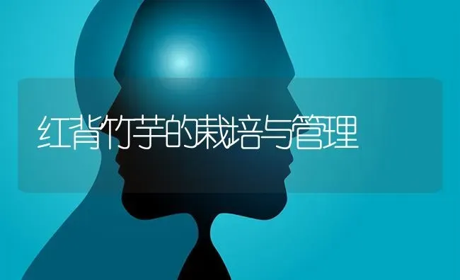 红背竹芋的栽培与管理 | 养殖知识